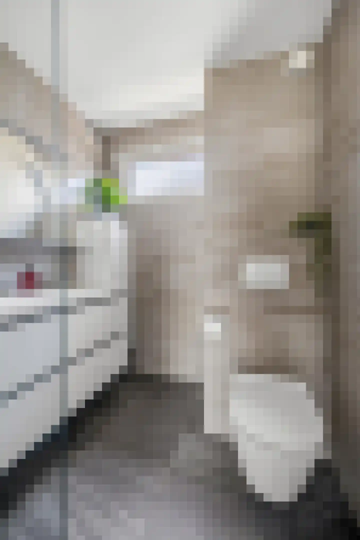 Bronsgroen 20 Zoetermeer thumbnail 35