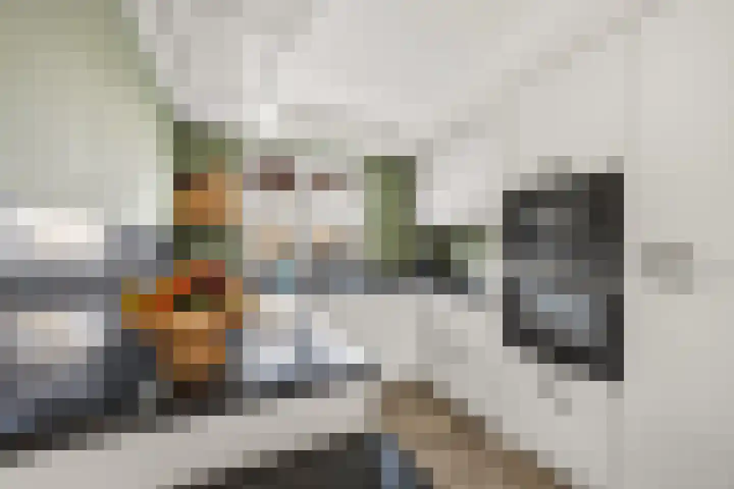Bronsgroen 20 Zoetermeer thumbnail 5