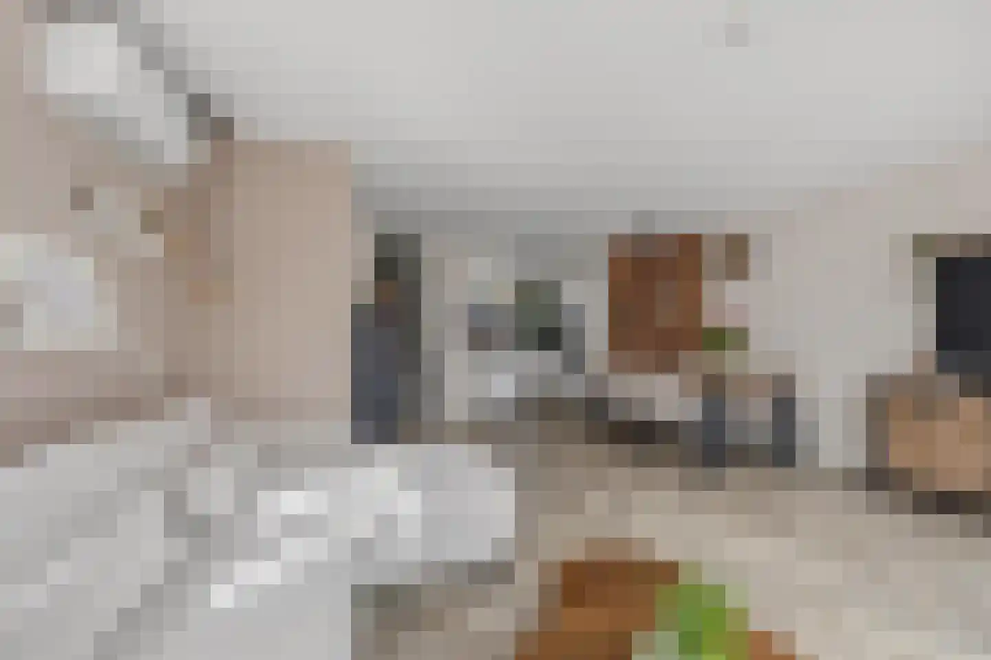 Bronsgroen 20 Zoetermeer thumbnail 9