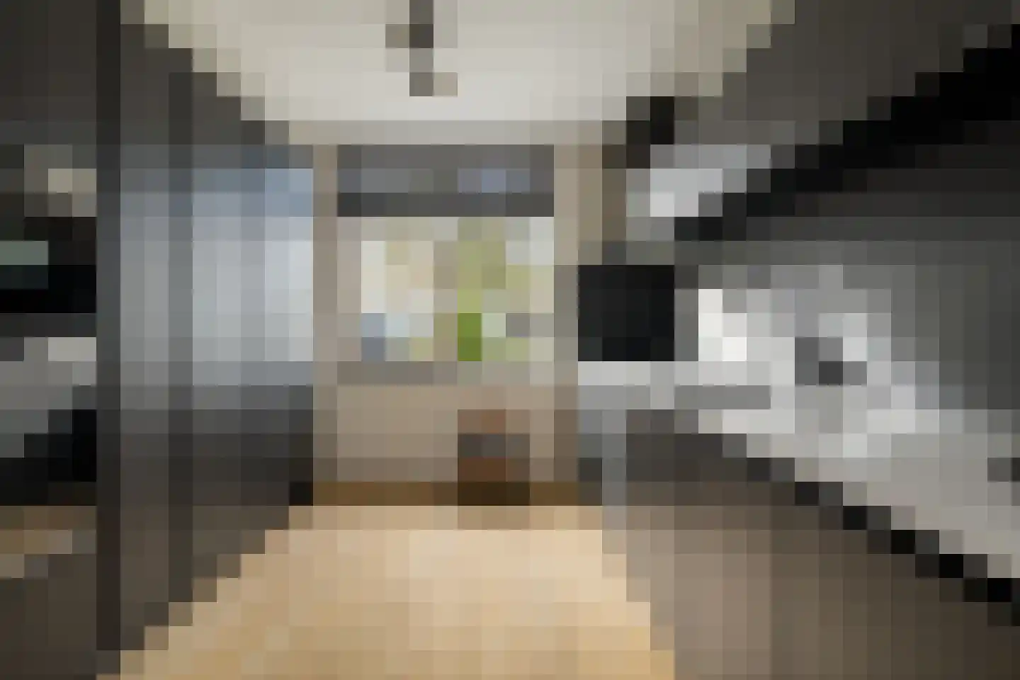 Bronsinklaan 41 Deventer thumbnail 10