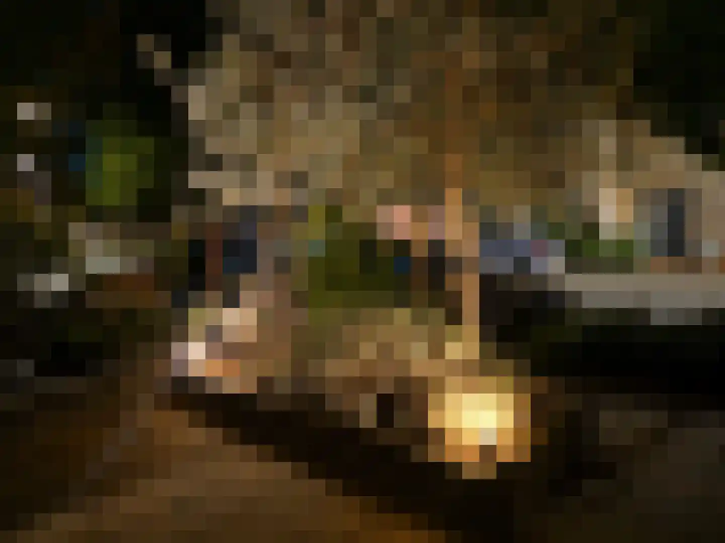 Bronsinklaan 41 Deventer thumbnail 27