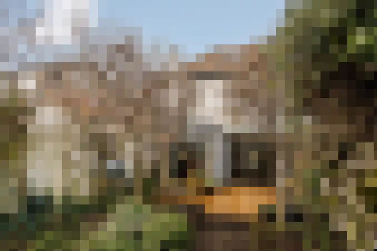 Bronsteeweg 24 Heemstede thumbnail 26