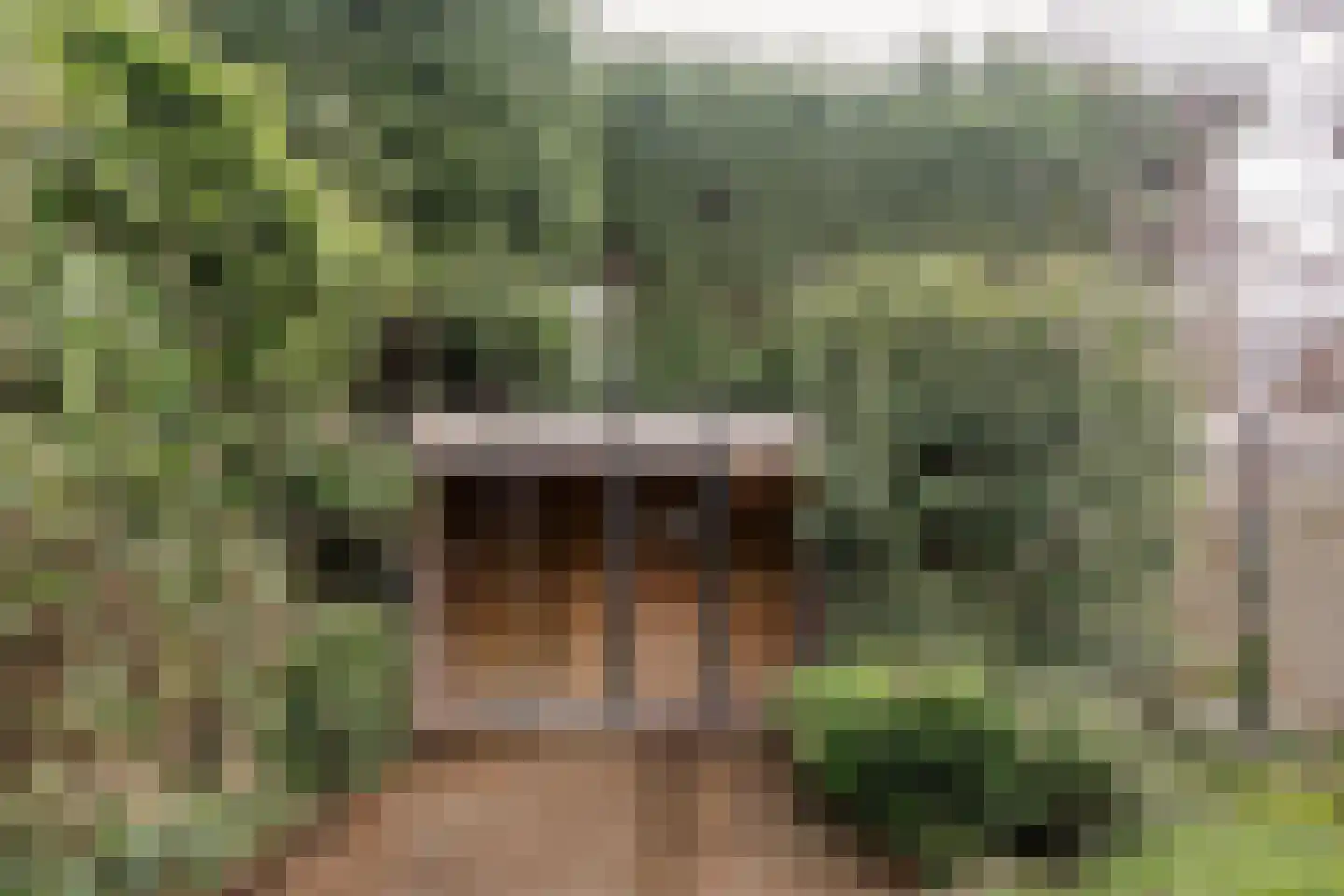 Bronsteeweg 24 Heemstede thumbnail 27