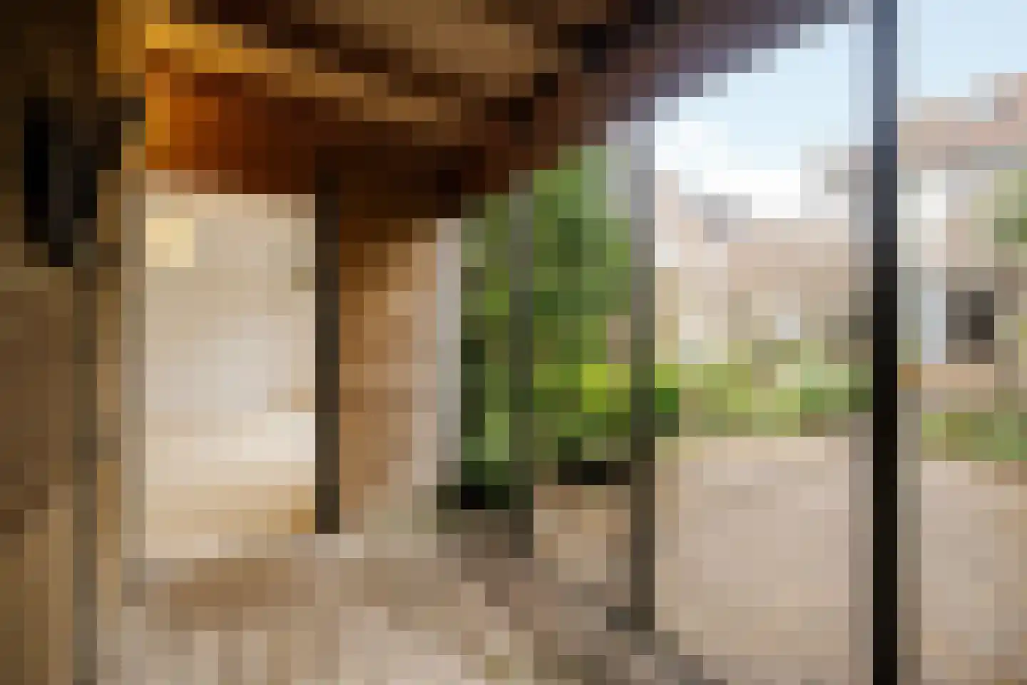 Bronsteeweg 24 Heemstede thumbnail 28