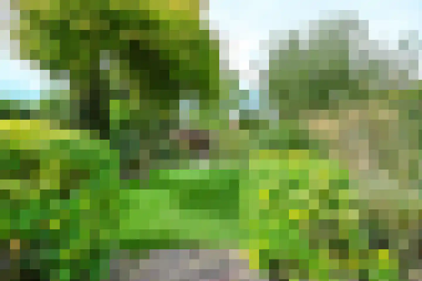 Bronsteeweg 35 Heemstede thumbnail 23