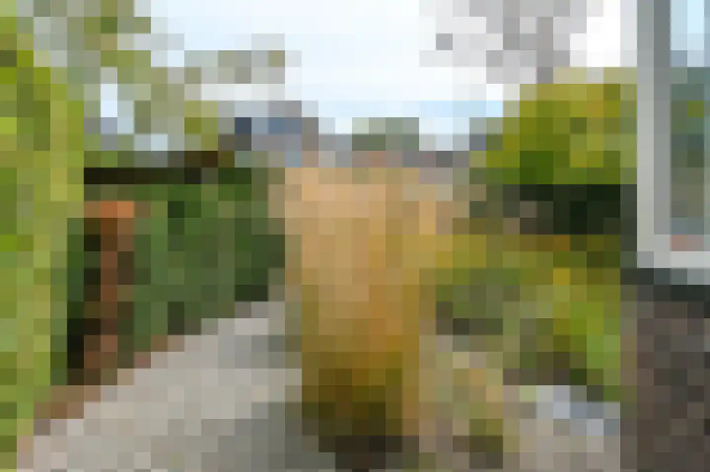 Bronsteeweg 35 Heemstede thumbnail 29