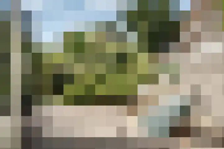 Bronsteeweg 45 Heemstede thumbnail 20
