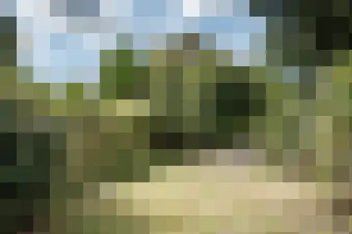 Bronsteeweg 45 Heemstede thumbnail 25