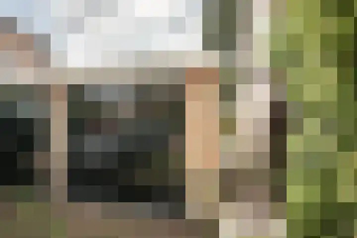 Bronsteeweg 45 Heemstede thumbnail 29