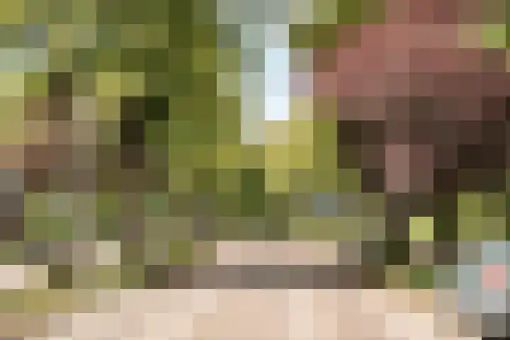 Bronsteeweg 45 Heemstede thumbnail 31