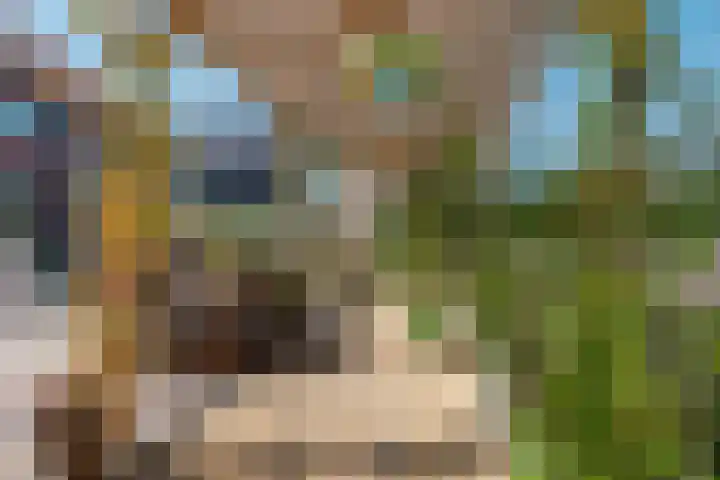 Bronstijd 17 Hoogkarspel thumbnail 36