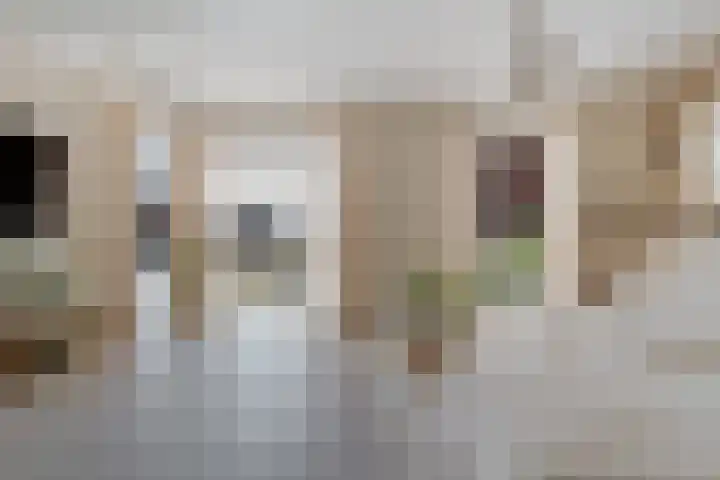 Bronstijd 17 Hoogkarspel thumbnail 4