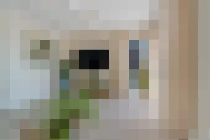 Bronstijd 17 Hoogkarspel thumbnail 5