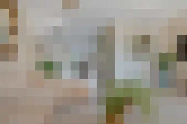Bronstijd 17 Hoogkarspel thumbnail 7