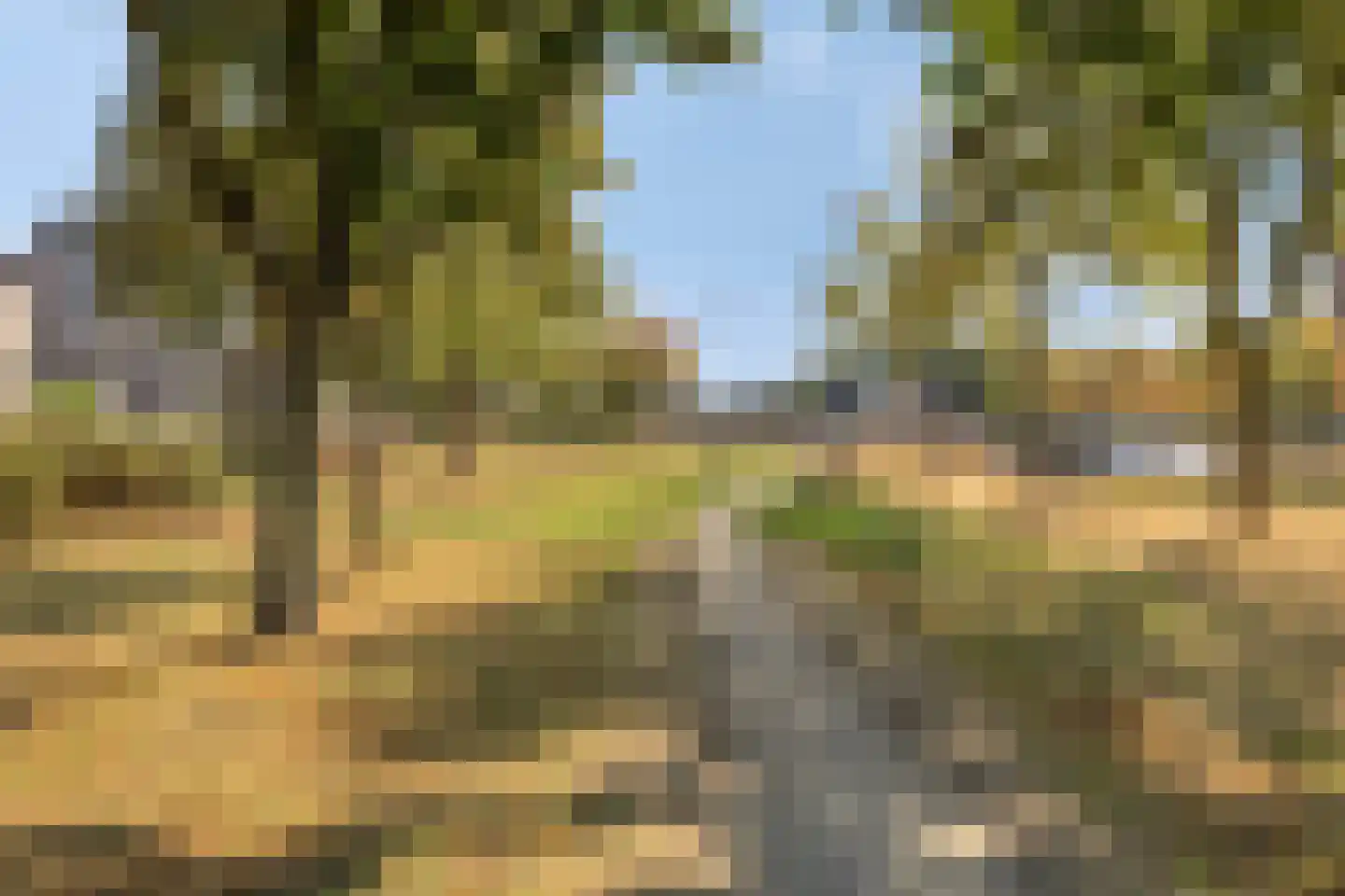 Bronstijd 3 Oosterhout thumbnail 35