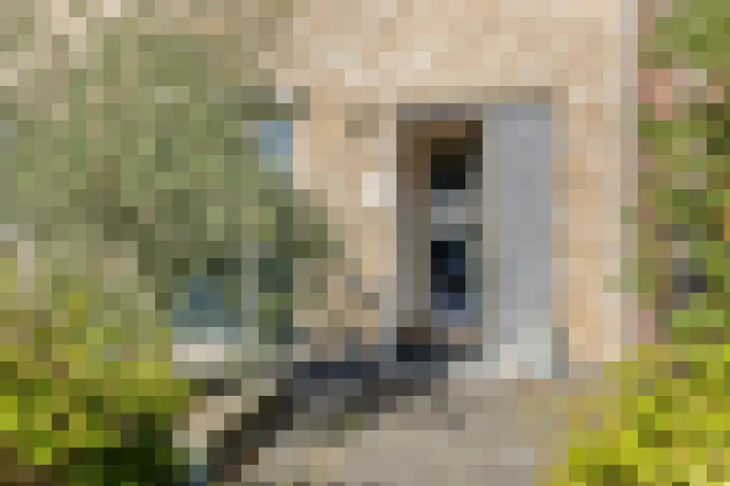 Bronstijd 3 Oosterhout thumbnail 4