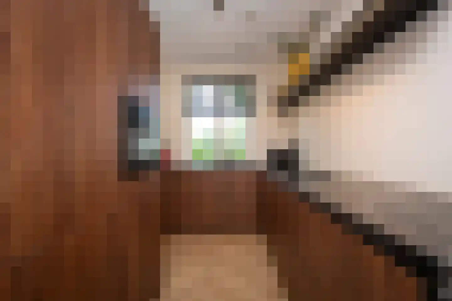 Bronstijd 6 Berkel-Enschot thumbnail 17