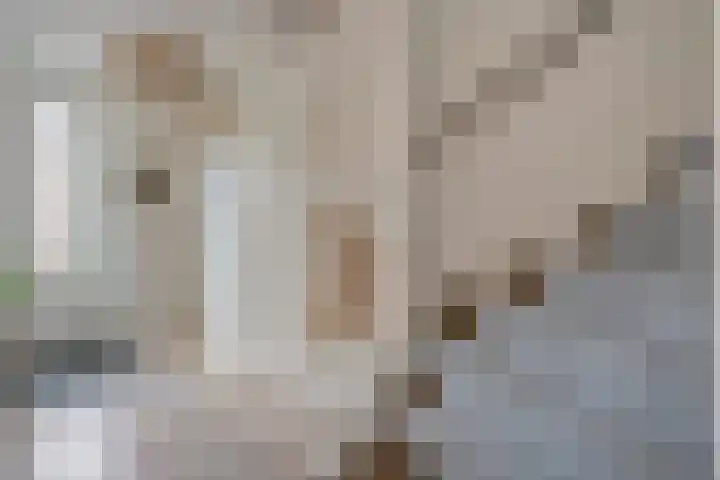 Bronstraat 20 Zwolle thumbnail 15