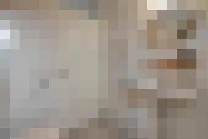Bronstraat 20 Zwolle thumbnail 21