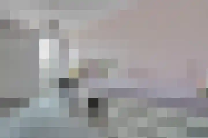 Bronstraat 20 Zwolle thumbnail 26