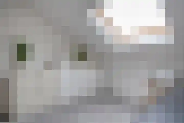 Bronstraat 20 Zwolle thumbnail 32