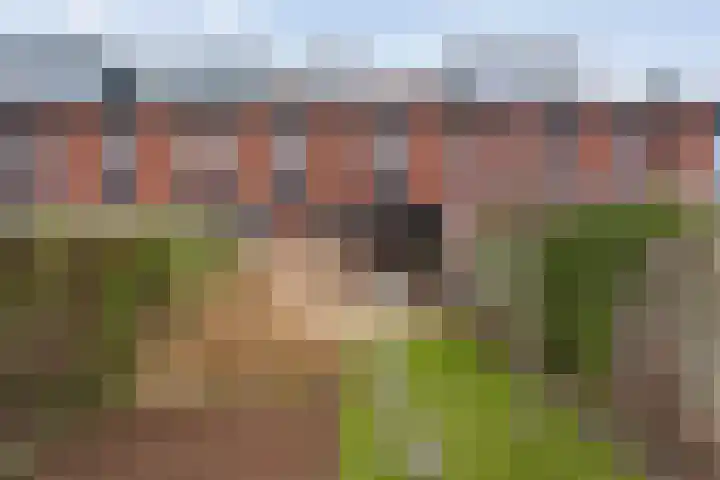 Bronstraat 20 Zwolle thumbnail 40