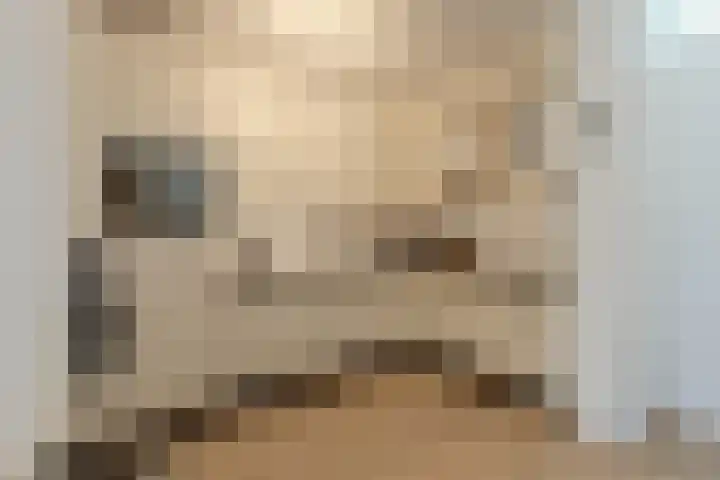 Bronstraat 4 Zwolle thumbnail 15