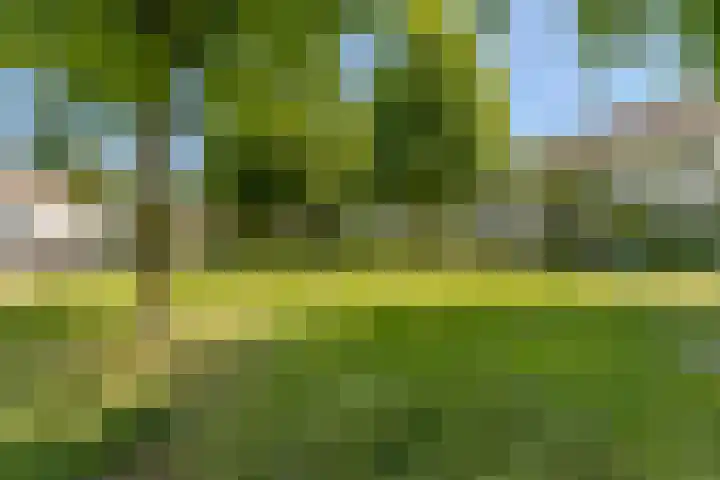 Bronstraat 4 Zwolle thumbnail 43