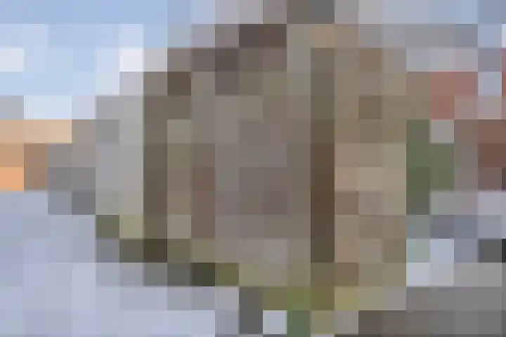Bronstraat 55 Zwolle thumbnail 32
