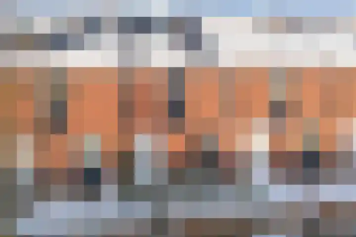 Bronstraat 55 Zwolle thumbnail 36