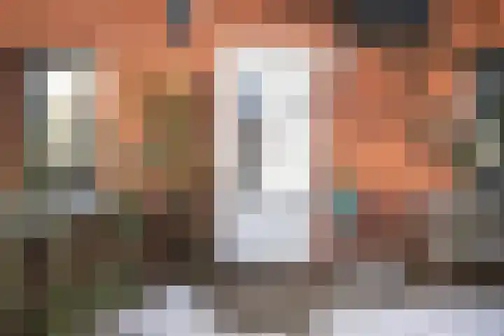 Bronstraat 55 Zwolle thumbnail 5