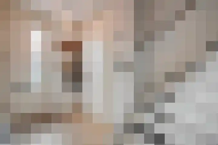 Bronstraat 55 Zwolle thumbnail 6
