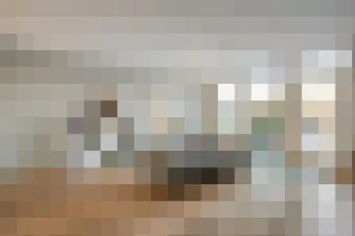 Bronstraat 55 Zwolle thumbnail 9