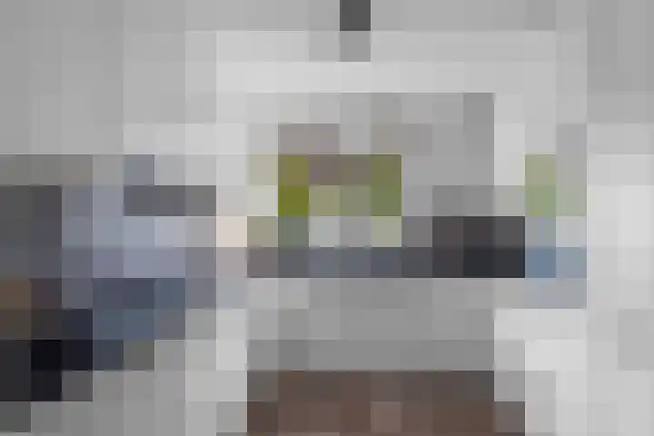 Bronsveen 1 Zaandam thumbnail 13