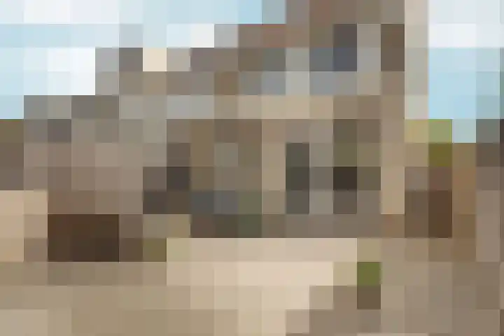 Bronsveen 1 Zaandam thumbnail 20