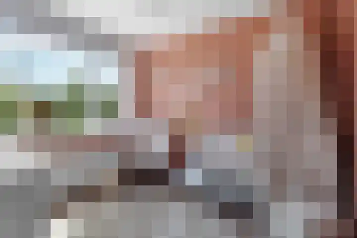 Bronsveen 1 Zaandam thumbnail 23