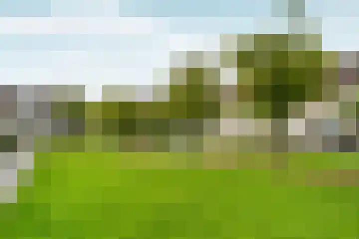 Bronsveen 1 Zaandam thumbnail 35