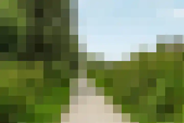 Bronsveen 1 Zaandam thumbnail 36