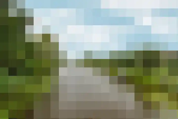Bronsveen 1 Zaandam thumbnail 38