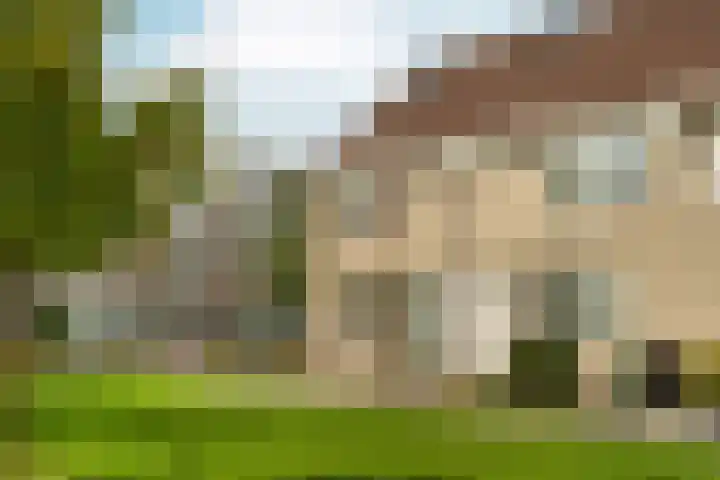 Bronsveen 1 Zaandam thumbnail 6
