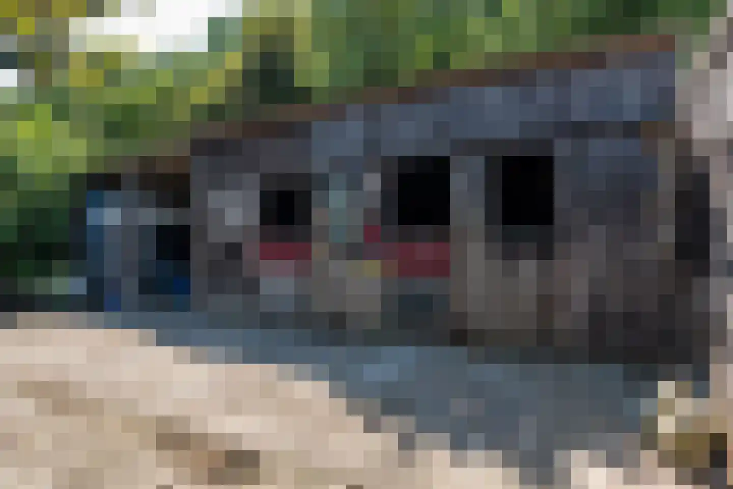 Bronsveenlaan 37 Oude Pekela thumbnail 36