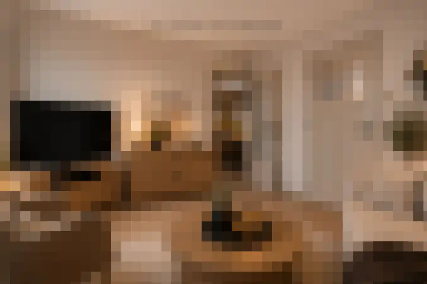 Bronsveenlaan 37 Oude Pekela thumbnail 6