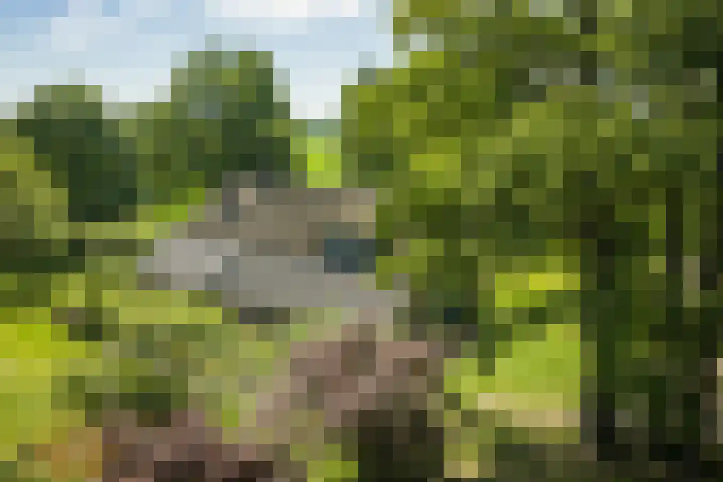 Bronsvoorderdijk 14 Bathmen thumbnail 10