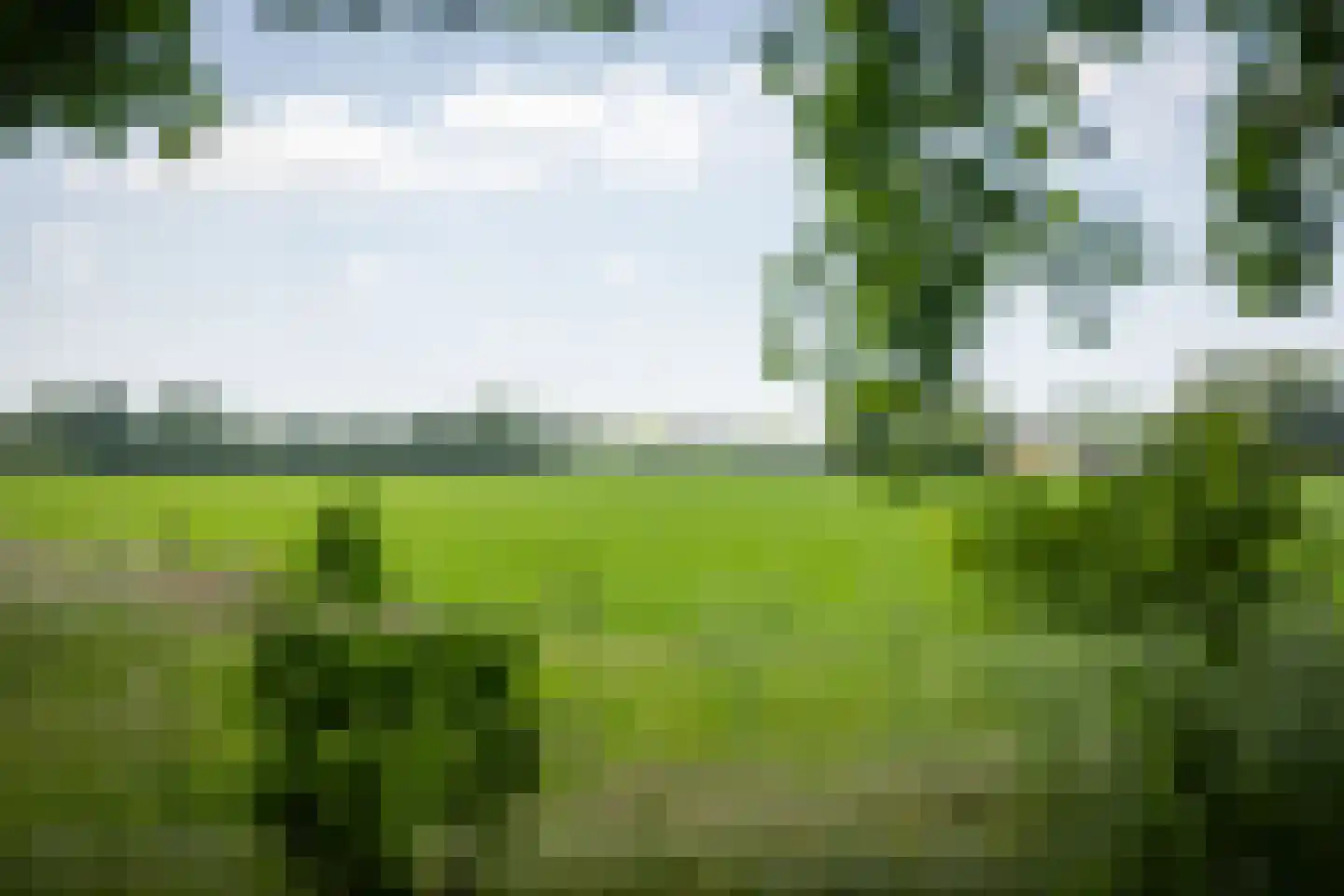 Bronsvoorderdijk 14 Bathmen thumbnail 12