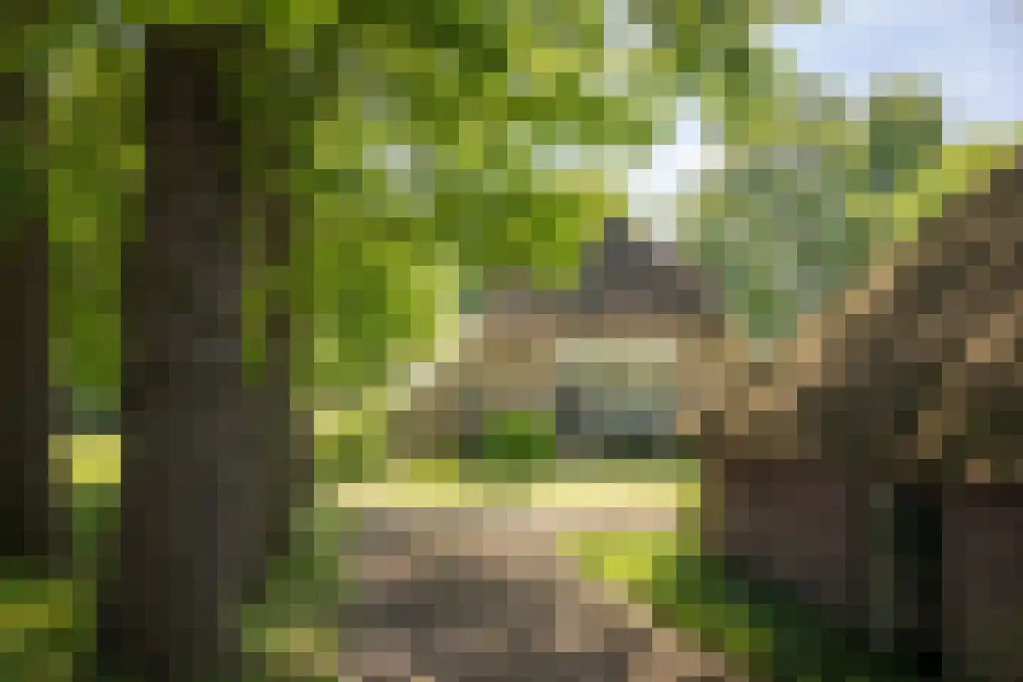 Bronsvoorderdijk 14 Bathmen thumbnail 19
