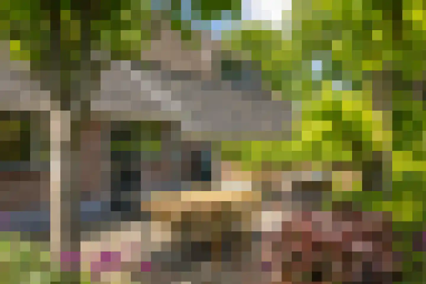 Bronsvoorderdijk 14 Bathmen thumbnail 22