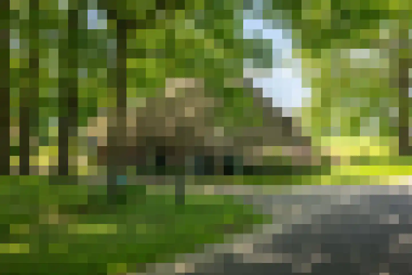 Bronsvoorderdijk 14 Bathmen thumbnail 24