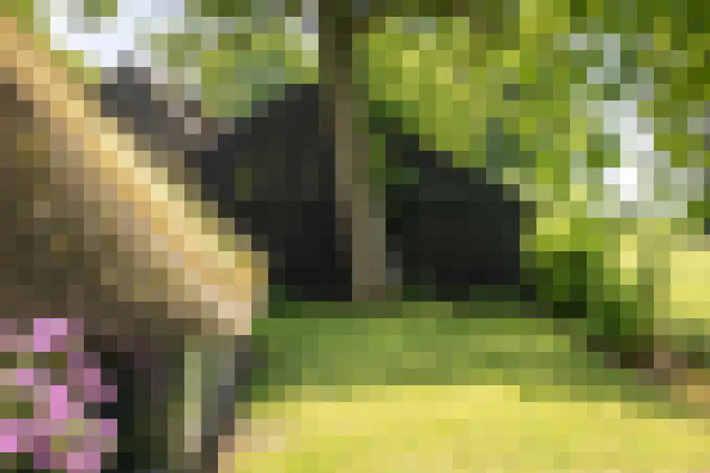 Bronsvoorderdijk 14 Bathmen thumbnail 25