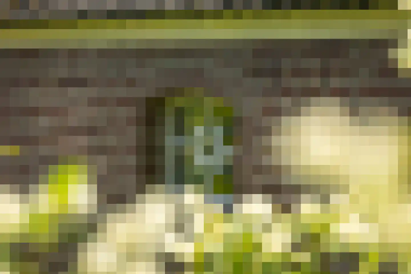 Bronsvoorderdijk 14 Bathmen thumbnail 32