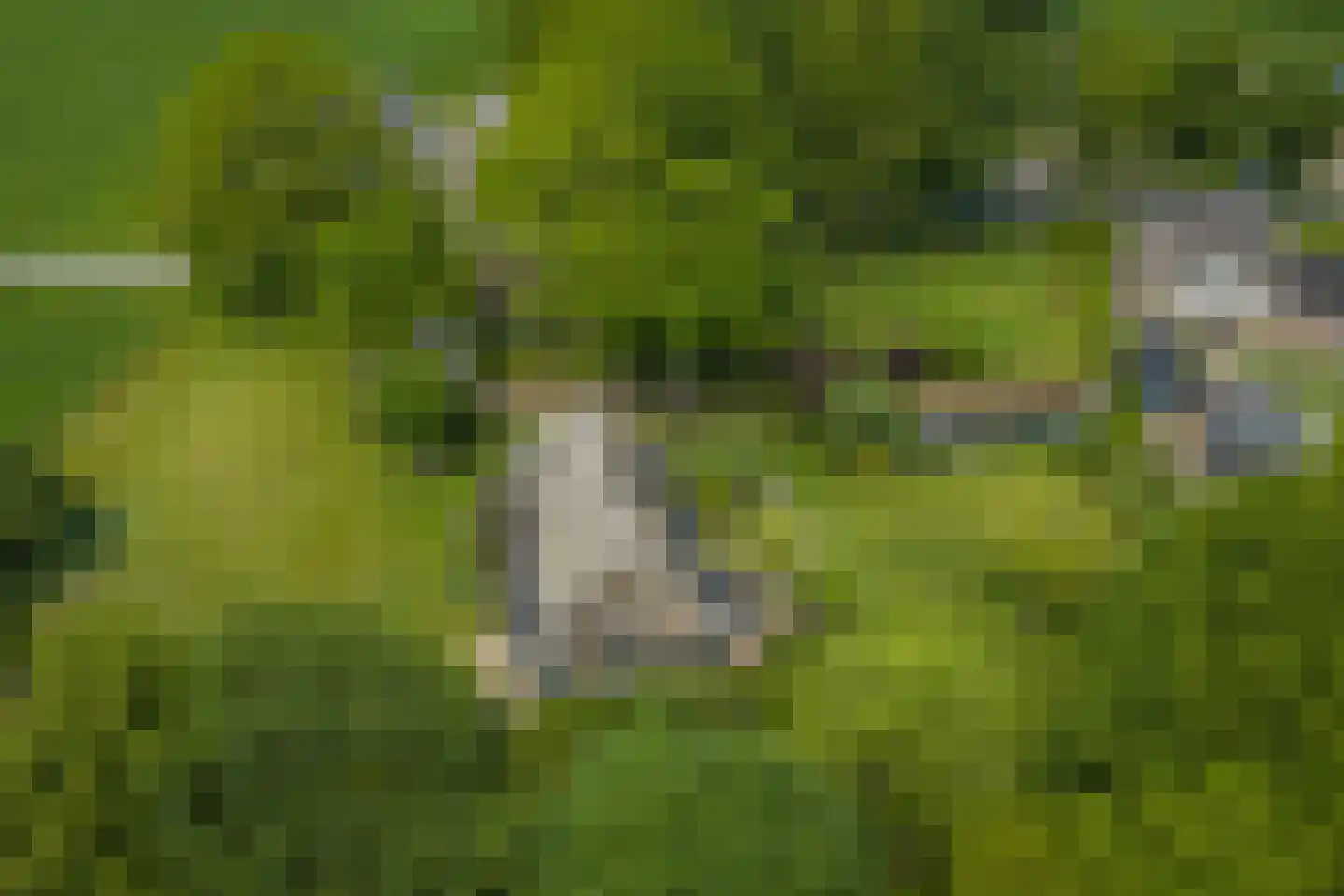 Bronsvoorderdijk 14 Bathmen thumbnail 4